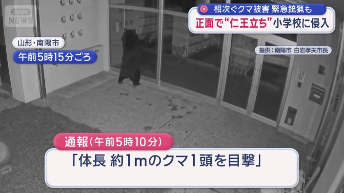 防犯カメラが捉えたクマの姿