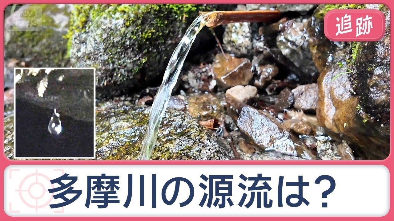 多摩川の“最初の一滴”を求め遡ると…アユが遡上 山中で発見“運命の分かれ道”とは