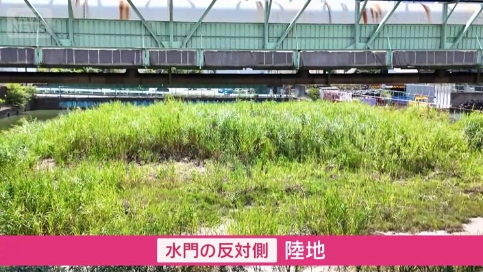 川の反対側はほとんどが陸地