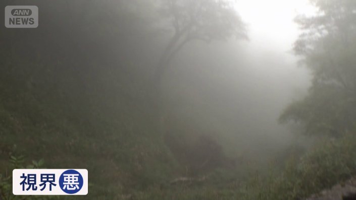 霧が立ち込める