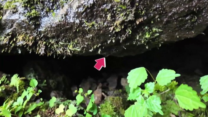 岩の中心付近に注目