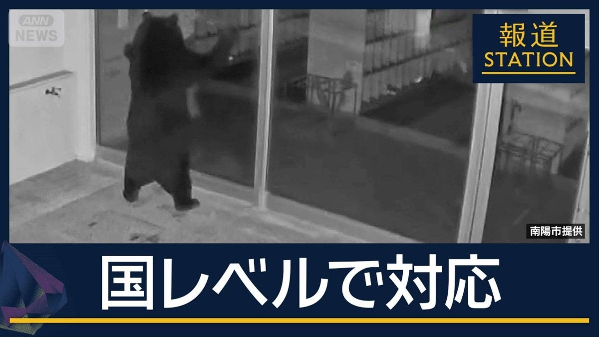 自治体だけではもう限界？“災害級”のクマ被害…閣僚会議に格上げ