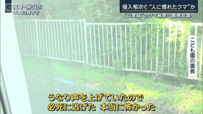 こども園の園長