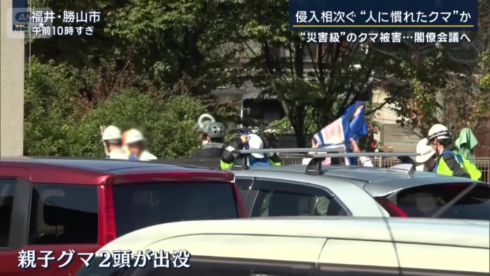 親子クマ2頭が出没