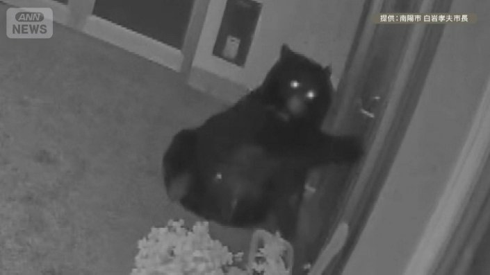 山形・南陽市の小学校に侵入したクマ