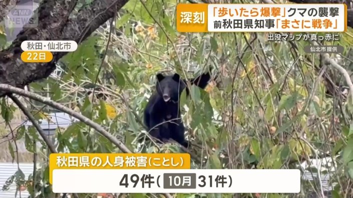 クマ被害で危機的な状況に陥っている秋田