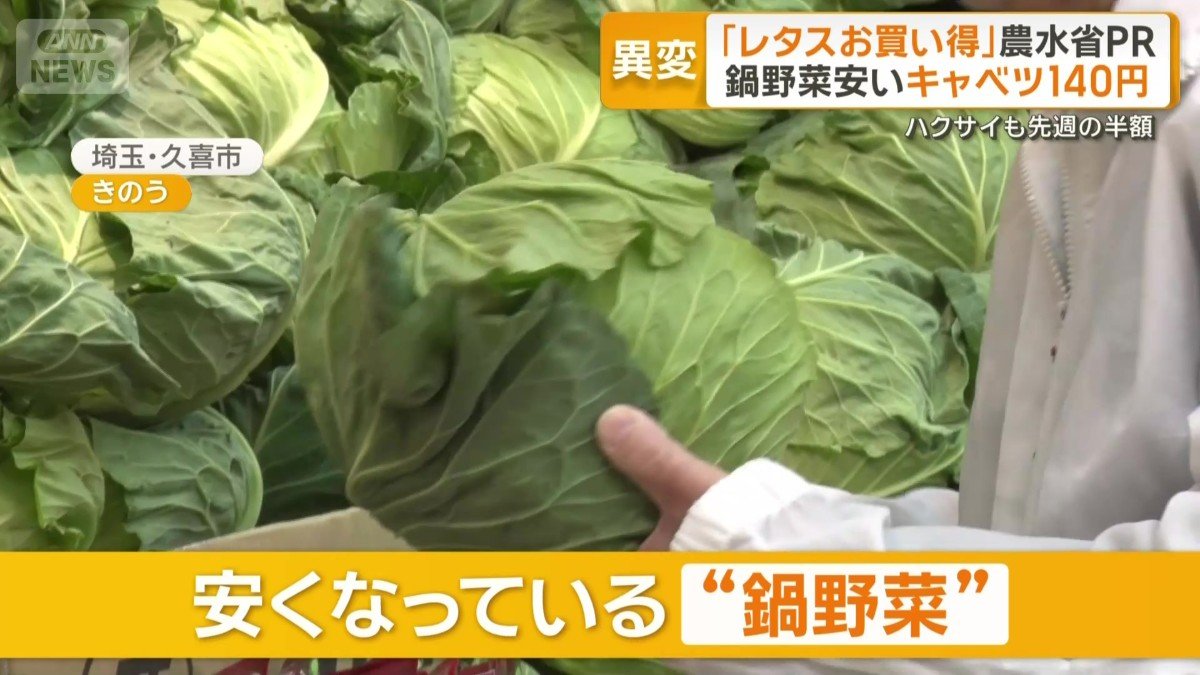 安くなっている鍋野菜