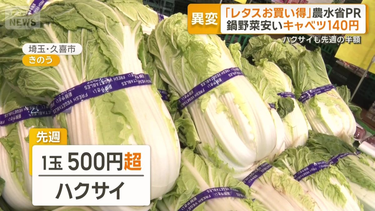 特に安くなっているハクサイ