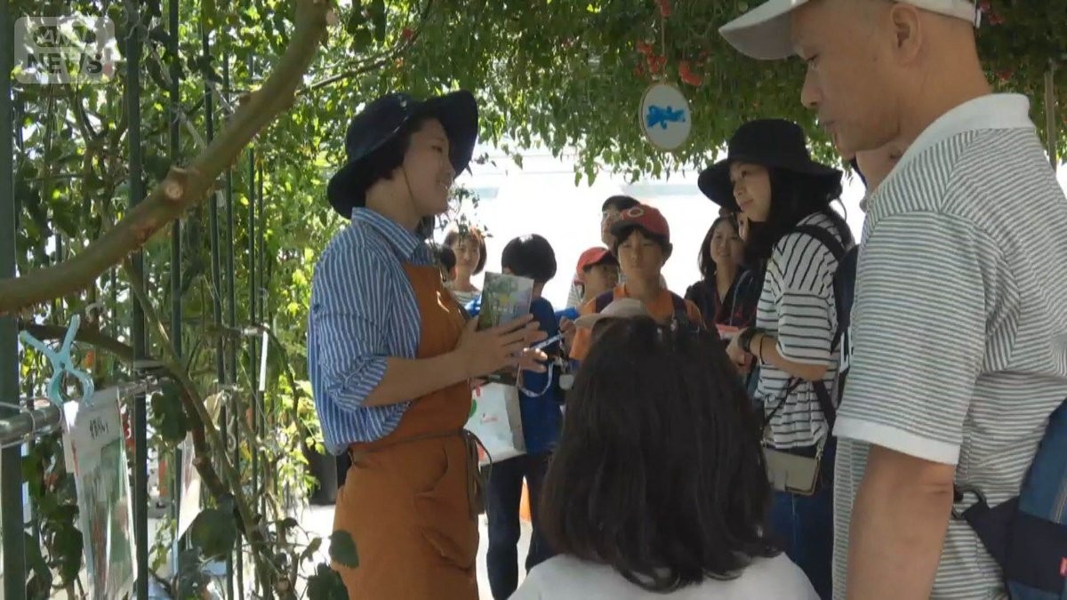 個人の株主を企業が囲い込む「ファン株主」　10年保有で記念品やコストコ優待　狙いは