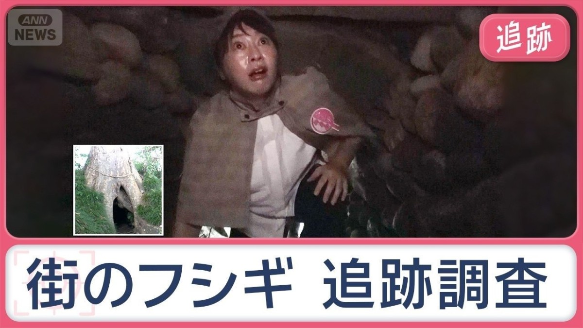 木の穴に異空間　海に連なる謎電柱　メイクばっちりの「おしろい地蔵」街のフシギ追跡