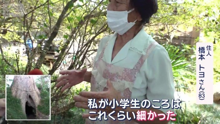 住人　橋本トヨさん