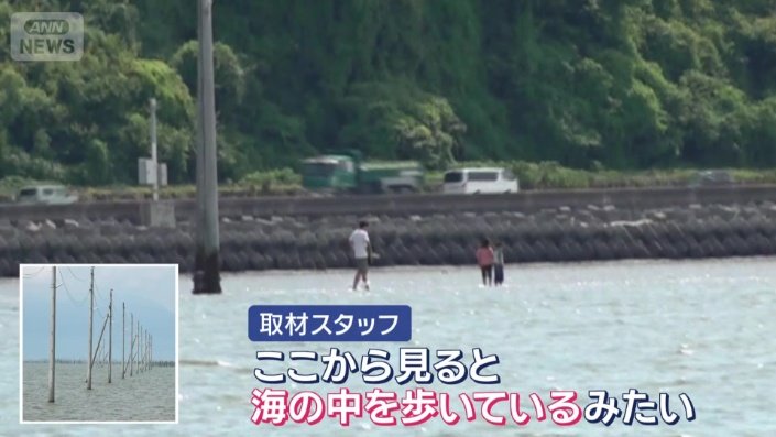 陸のほうを振り返ると…