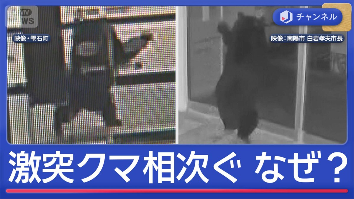 ガラスに激突クマ相次ぐ なぜ? 危険のサインかも