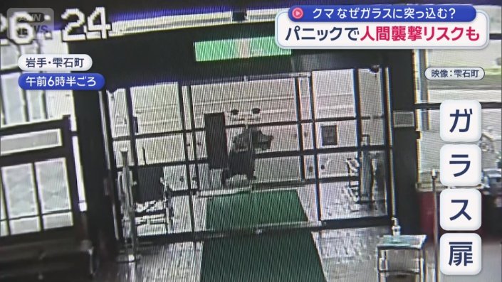 クマはガラス扉に体当たり