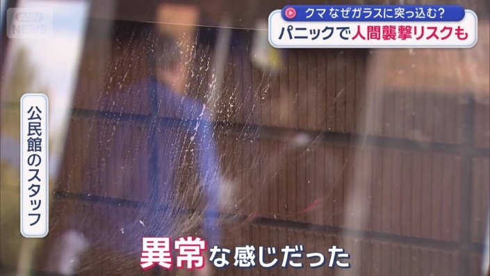 クマがひっかいたとみられる傷、血のようなものも…