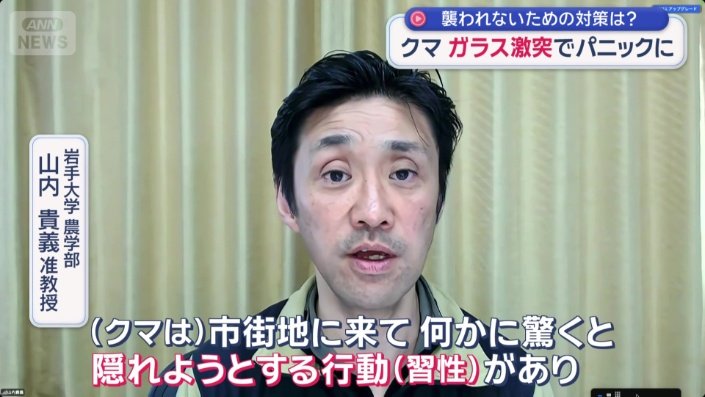 なぜ、クマはガラス扉に体当たりする?