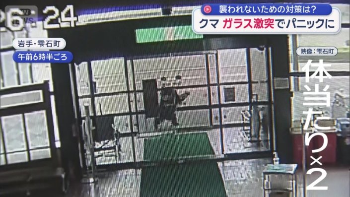 2回、体当たりして、去っていった