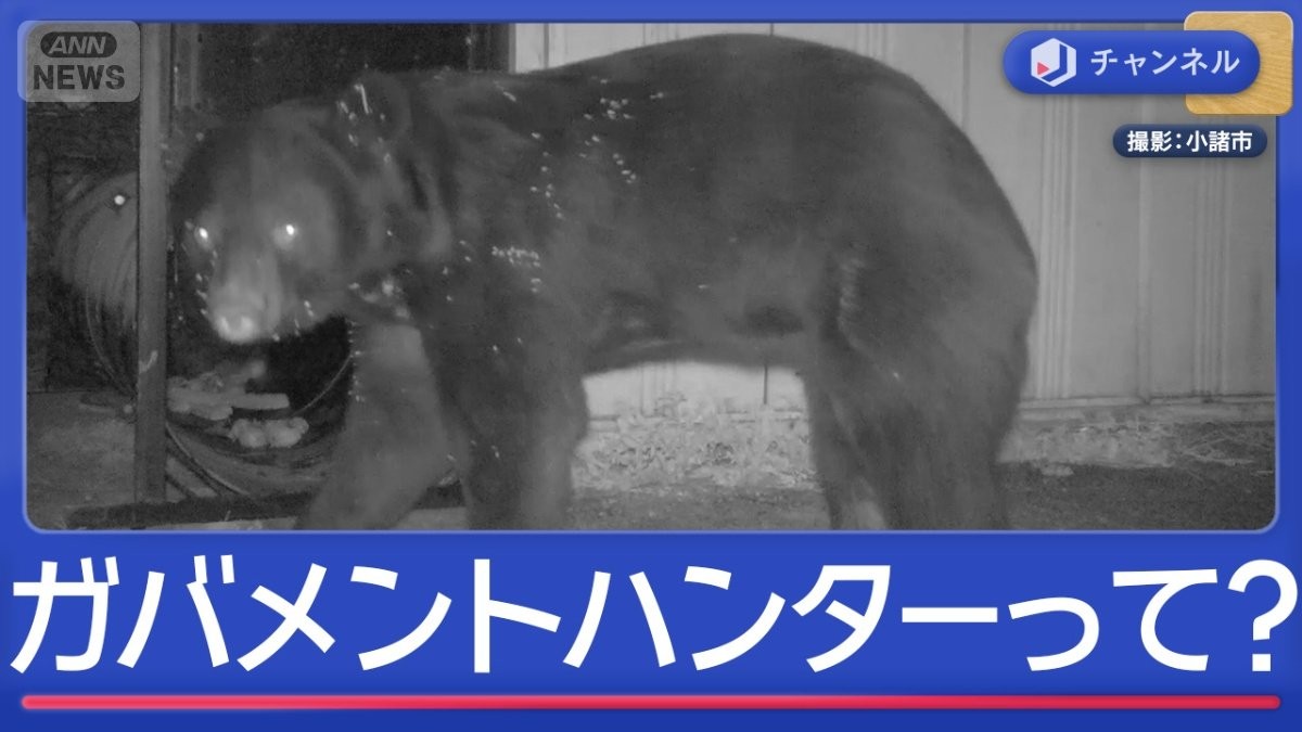 専門知識と行政目線でクマ対策 「ガバメントハンター」とは?