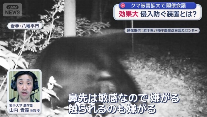 岩手大学農学部 山内貴義准教授