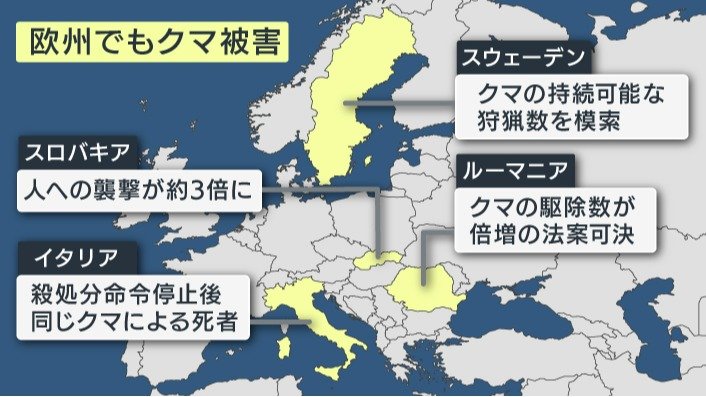 欧州各地のクマ被害