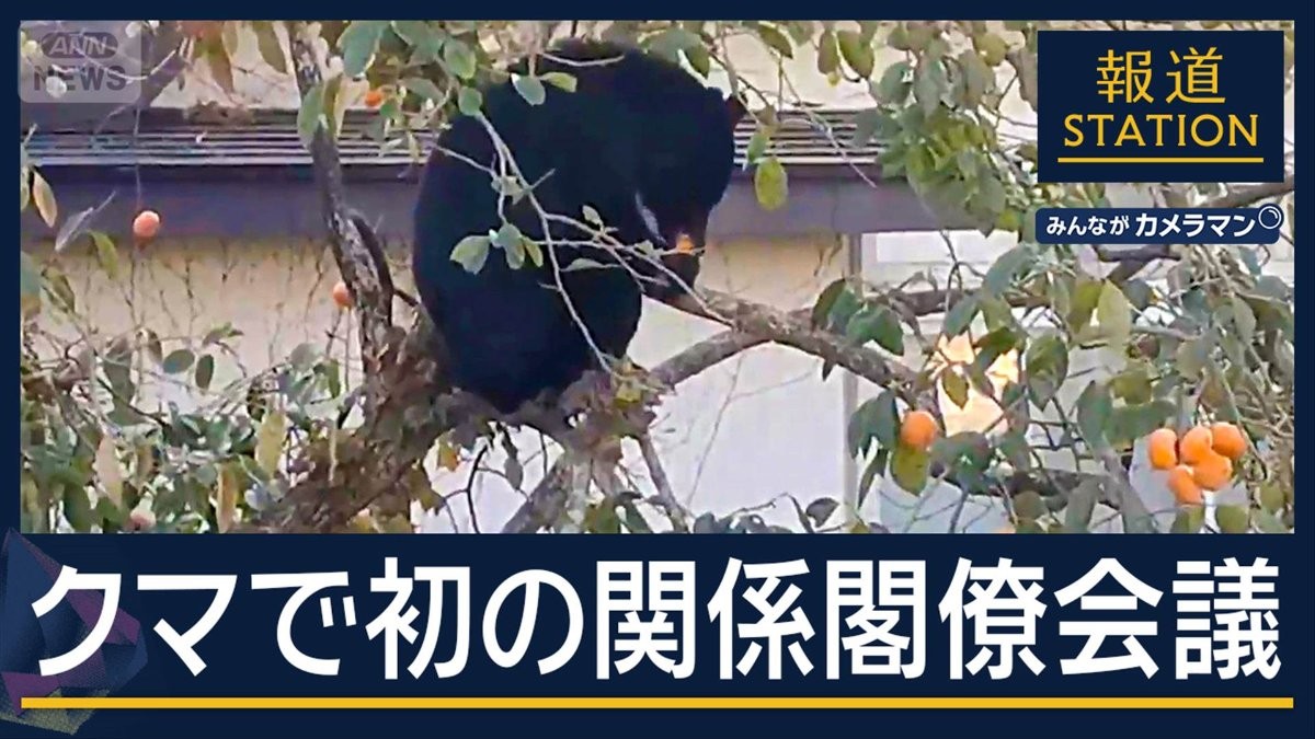 “警察がライフル使用”検討 クマ対策”格上げ” 初の閣僚会議