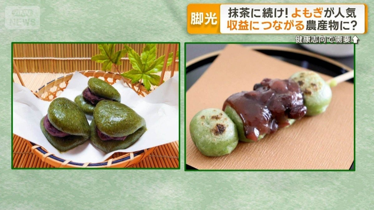 抹茶に続け!「よもぎ」人気に 収益につながる農産物に?課題も 健康志向で需要増