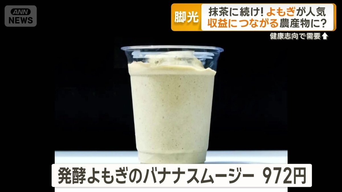 発酵よもぎのバナナスムージー