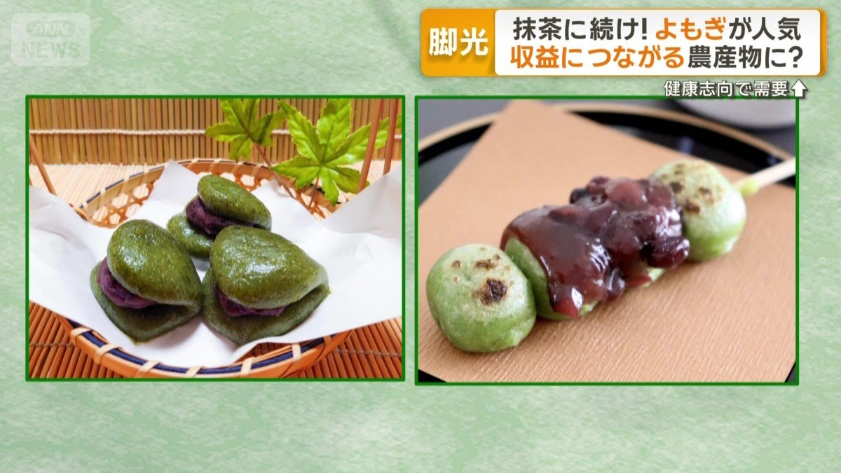 草餅や団子の食材として親しまれてきたよもぎ