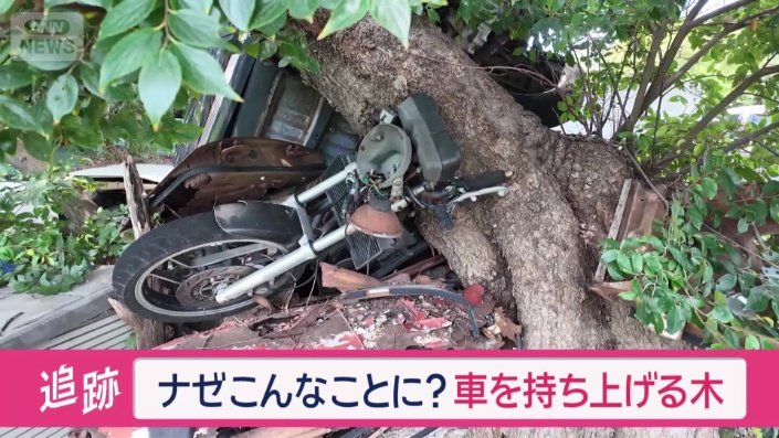 反対側に回ると車の下にバイクまで挟みこんでいた