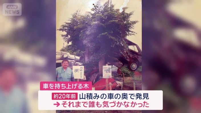 発見されたのは20年ほど前