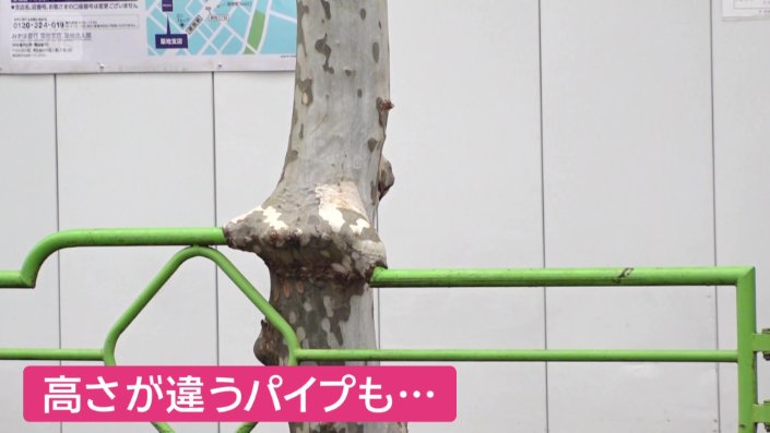 左右の高さが違うパイプも包み込んでいる