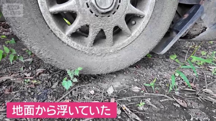 なんと木は、車を持ち上げていた