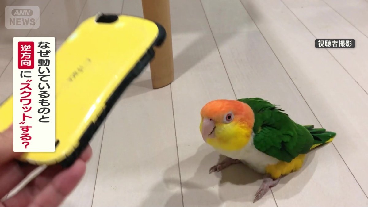 なぜ動いているものと逆方向にスクワットする?