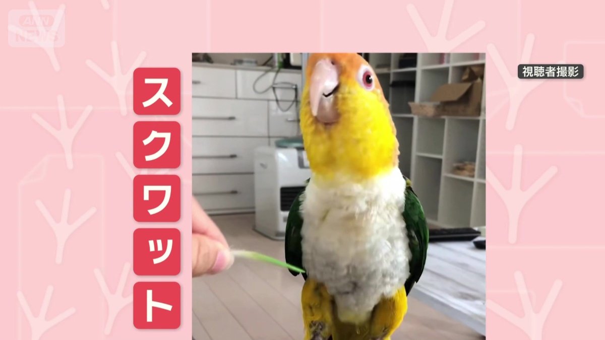 逆方向にスクワット!