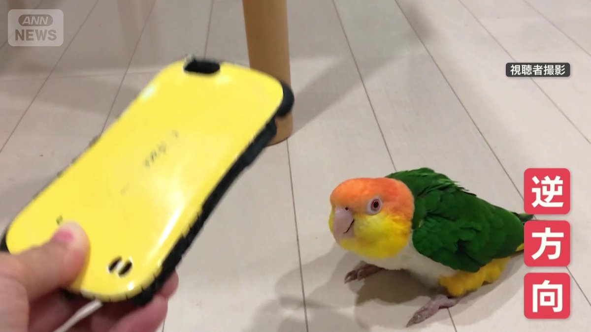 スマホと逆方向に上下に動く