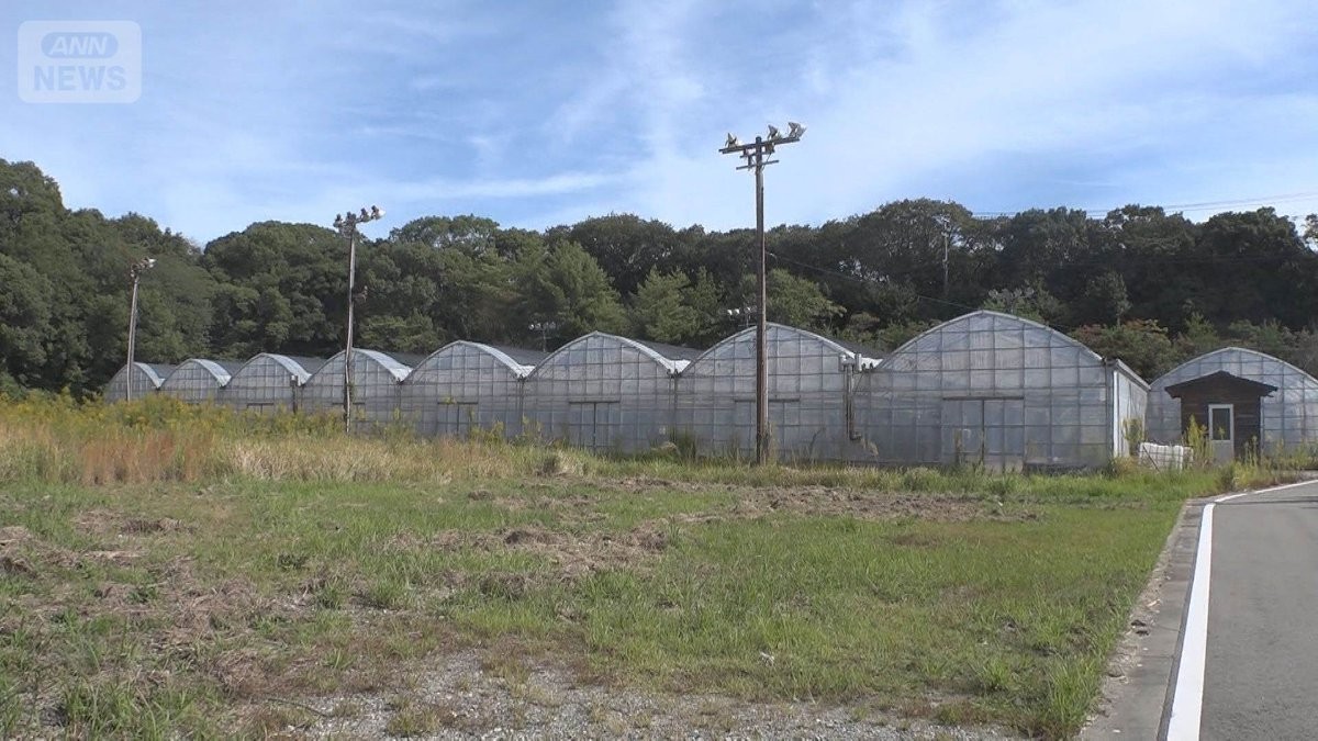 「みんなで大家さん」また配当停止 “バナナ事業”形跡なし 関係者「賃料払えず」