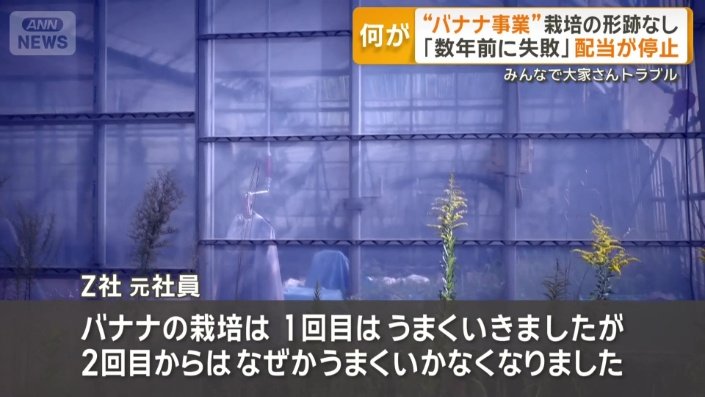 バナナの生産事業に失敗