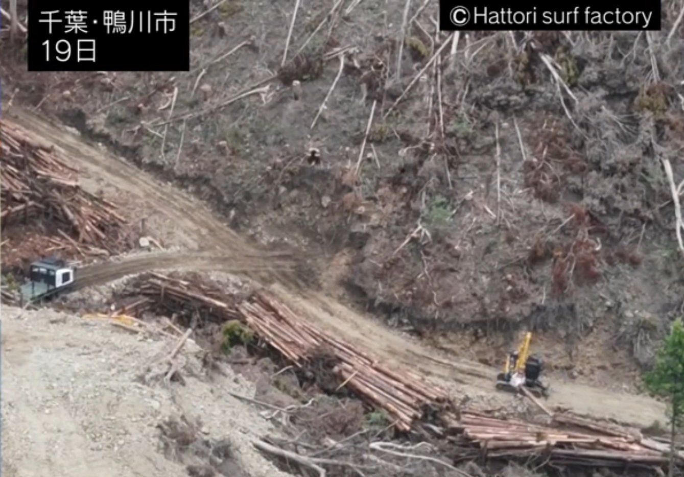 鴨川市のメガソーラー予定地