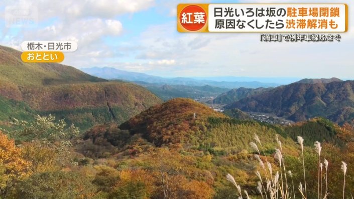 11月上旬ごろは紅葉が楽しめる