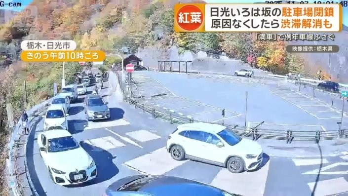 ライブカメラの映像