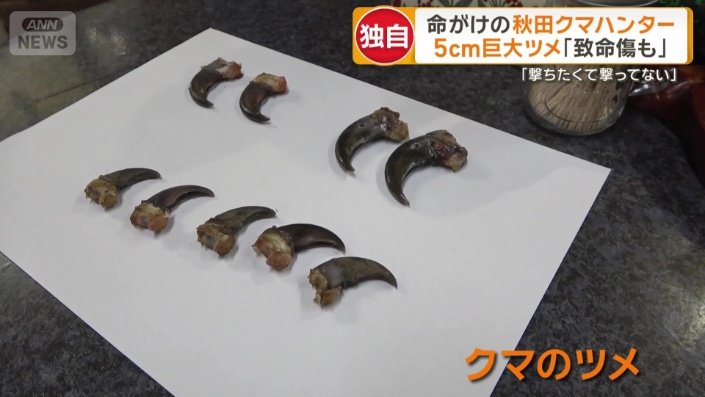 駆除したクマの爪