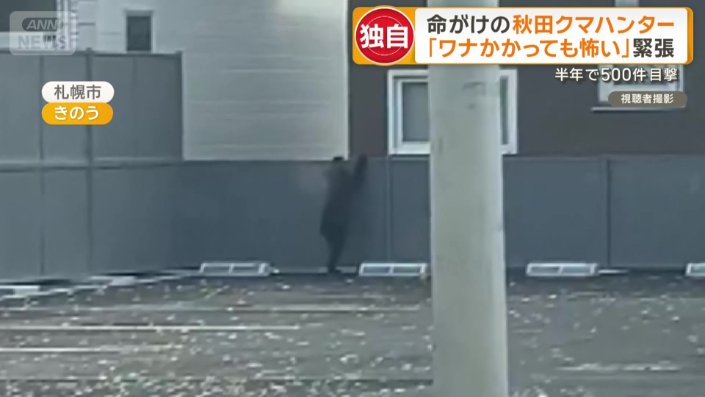 塀を上る子グマ