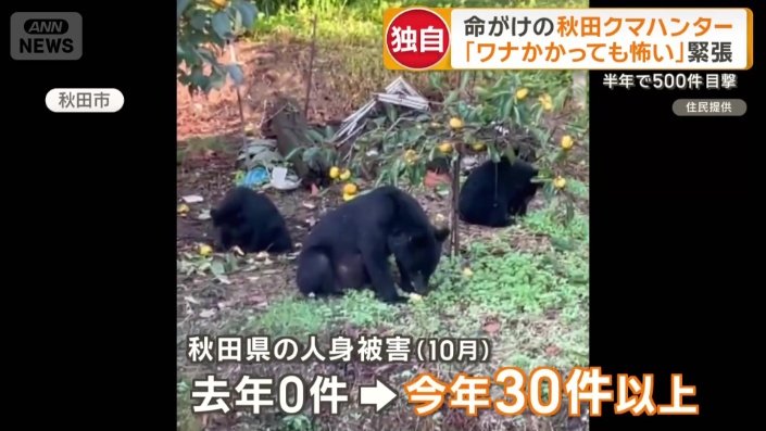 0件→30件以上に増加