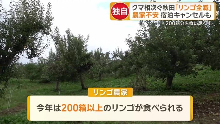 200箱分以上が食べつくされた