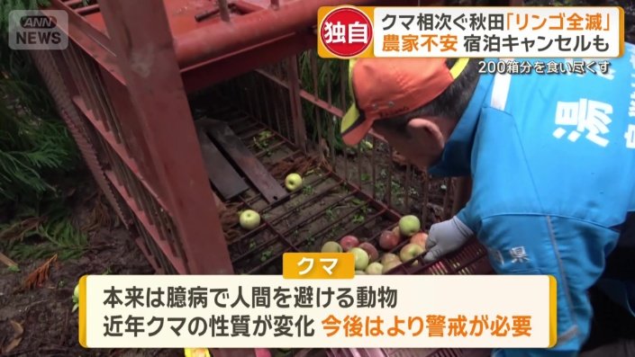 クマの性質が変化してきている