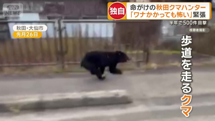 歩道を走るクマ