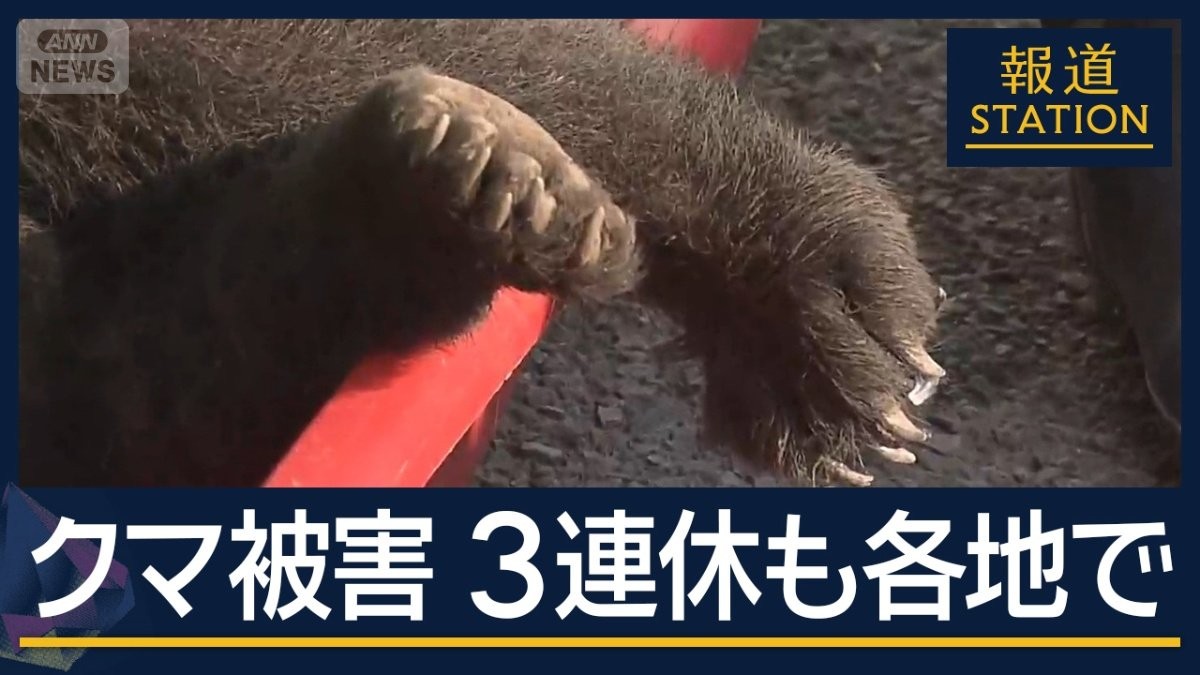 駆除は3日連続「今年は異常」クマハンターの活動に密着　各地で3連休もクマ被害