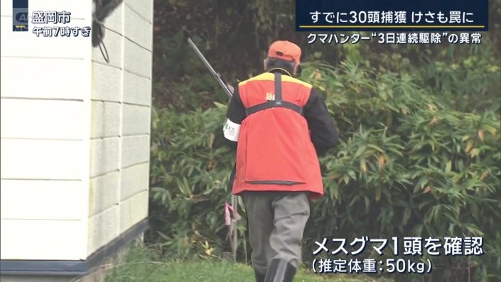 メスグマ1頭を確認