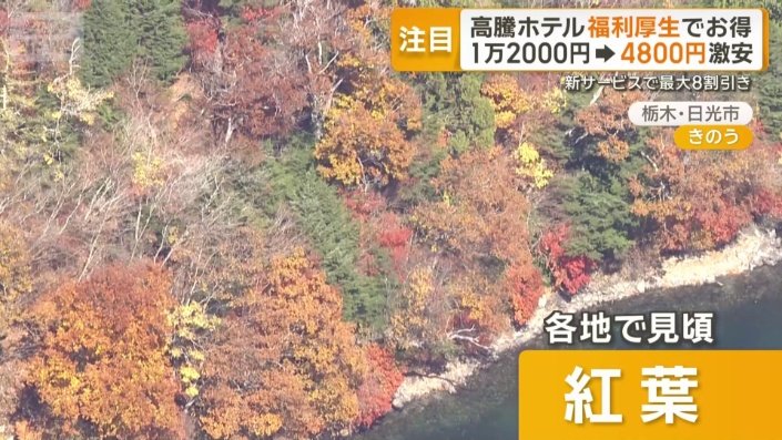 各地で見頃を迎えている紅葉