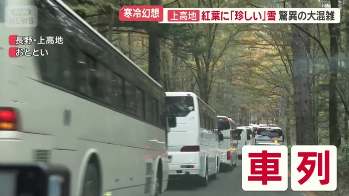 駐車場は午前中にはすでに満車